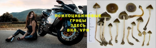 mdpv Зеленодольск