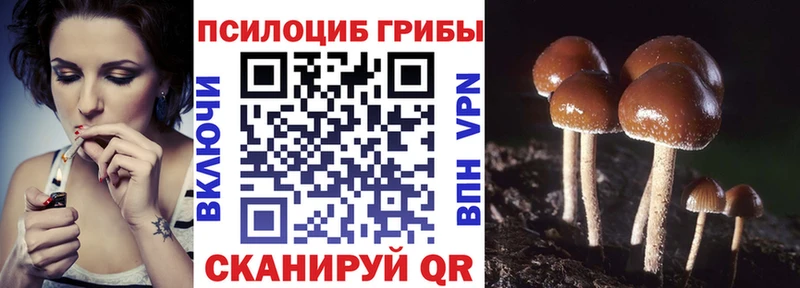 Купить  Инсар  Псилоцибиновые грибы MAGIC MUSHROOMS 